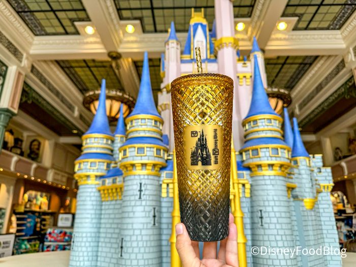 Starbucks Meets Disney - The Tumbler You Need!