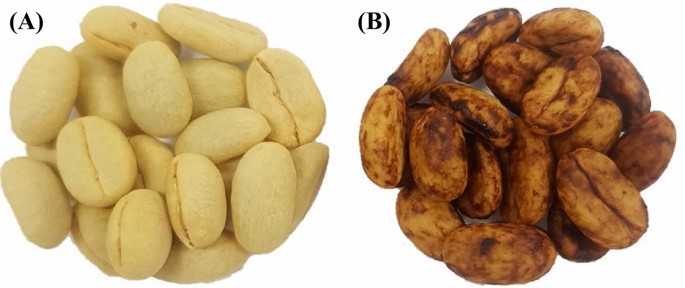 Innovative Techniques for Analyzing Coffee Water Sorption