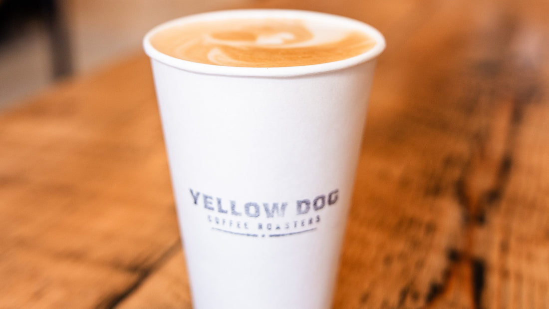 Yellow Dog Coffee Roasters - From Popcorn Popper to Coffee Shop Success