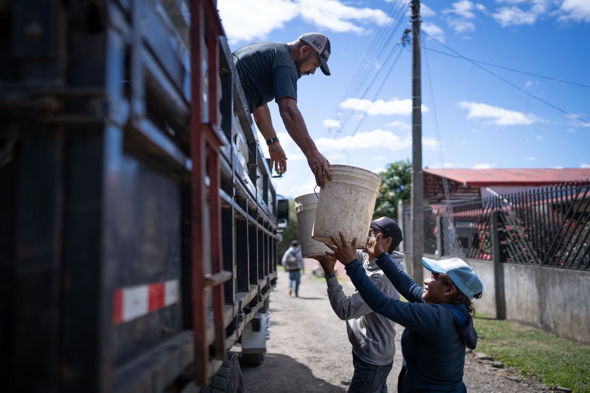 Costa Rican Coffee Pickers Secure New Benefits