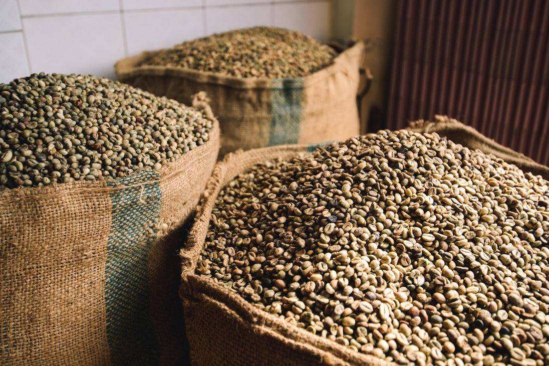 Global Coffee Industry Invests $10 Million for Sustainable Growth