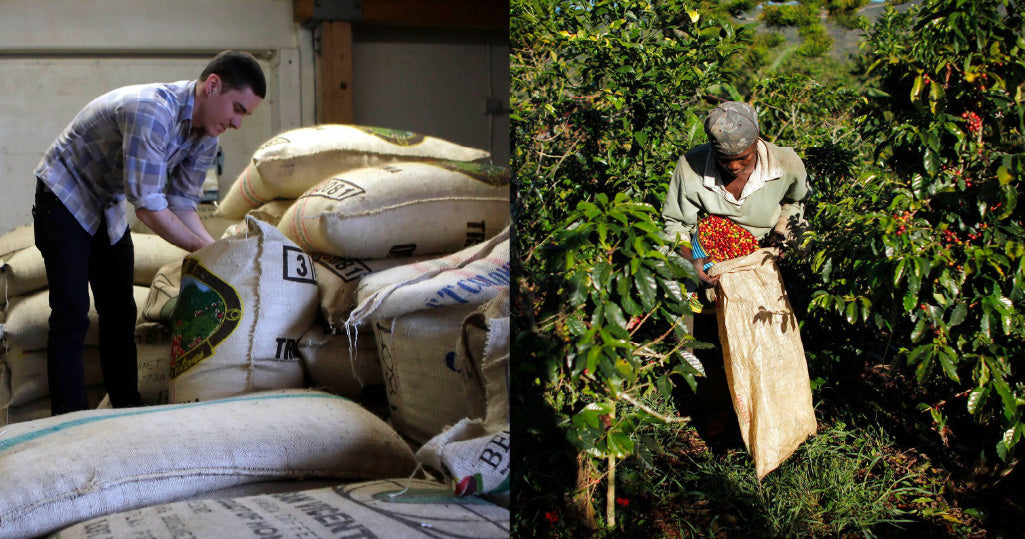 EU's Deforestation Regulation Faces Delay - What It Means for Coffee