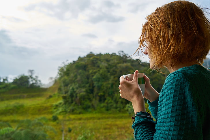 Coffee's Future - Exploring Resilient Alternatives Amid Climate Change