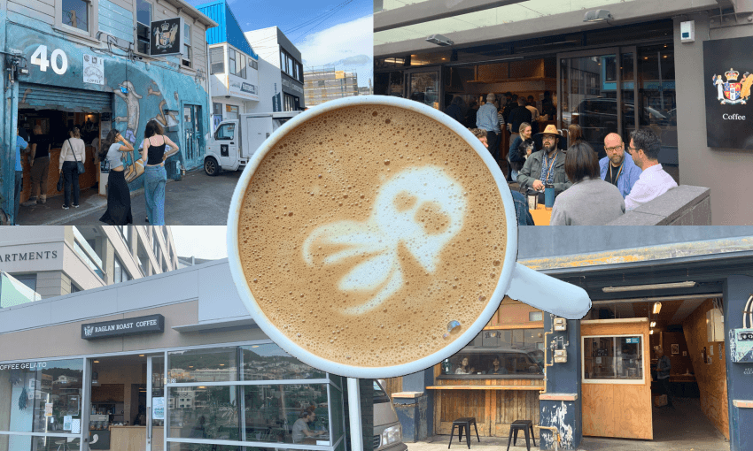 Exploring Wellington's Raglan Roast - Which Branch Brews Best?