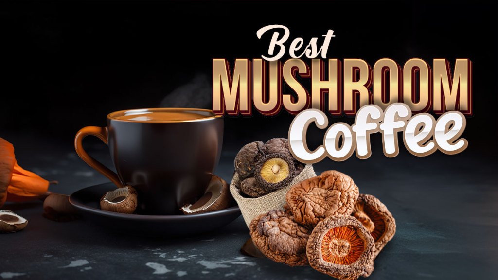 Magic Brew - The Best Mushroom Coffees of 2024