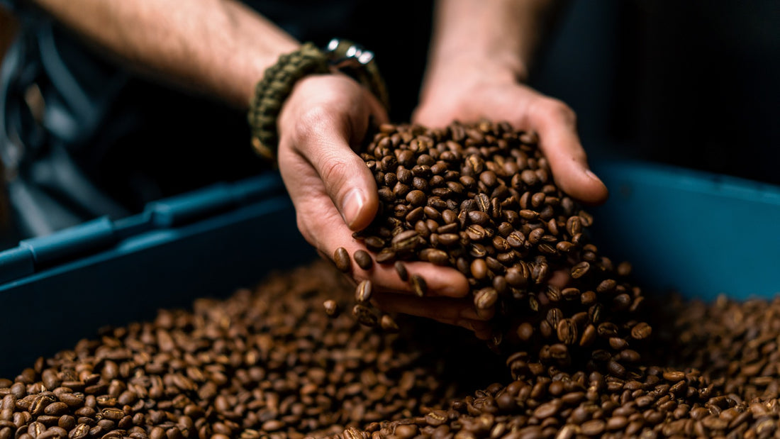 Brewing Giants - The World's Top Coffee Producer
