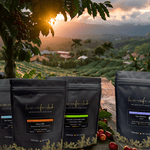 Curated Specialty Coffee Subscription  -1 Month Gift